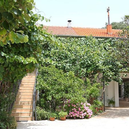 Apartments With A Parking Space Bibinje, Zadar - 18843 ภายนอก รูปภาพ